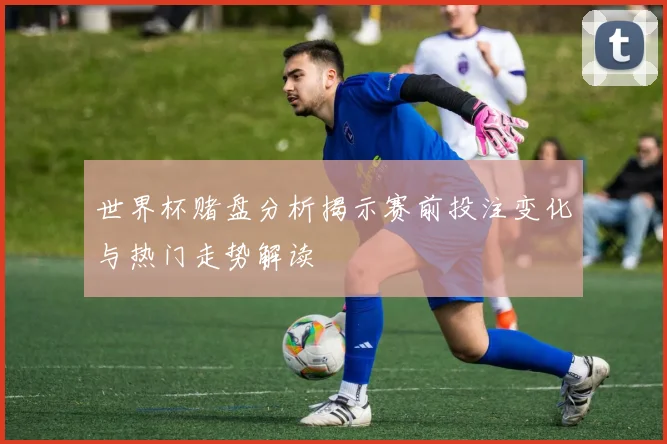 世界杯赌盘分析揭示赛前投注变化与热门走势解读