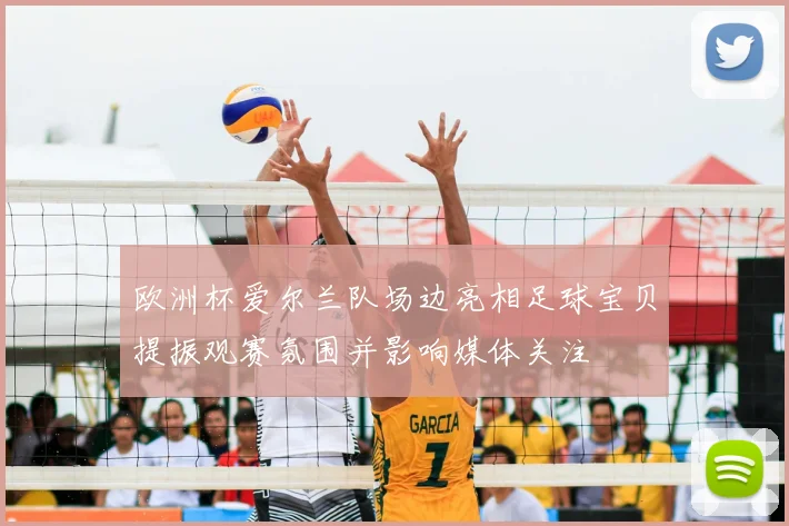 欧洲杯爱尔兰队场边亮相足球宝贝提振观赛氛围并影响媒体关注