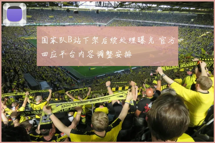 国家队B站下架后续处理曝光 官方回应平台内容调整安排