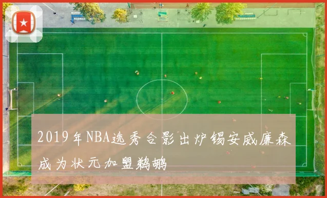 2019年NBA选秀合影出炉锡安威廉森成为状元加盟鹈鹕